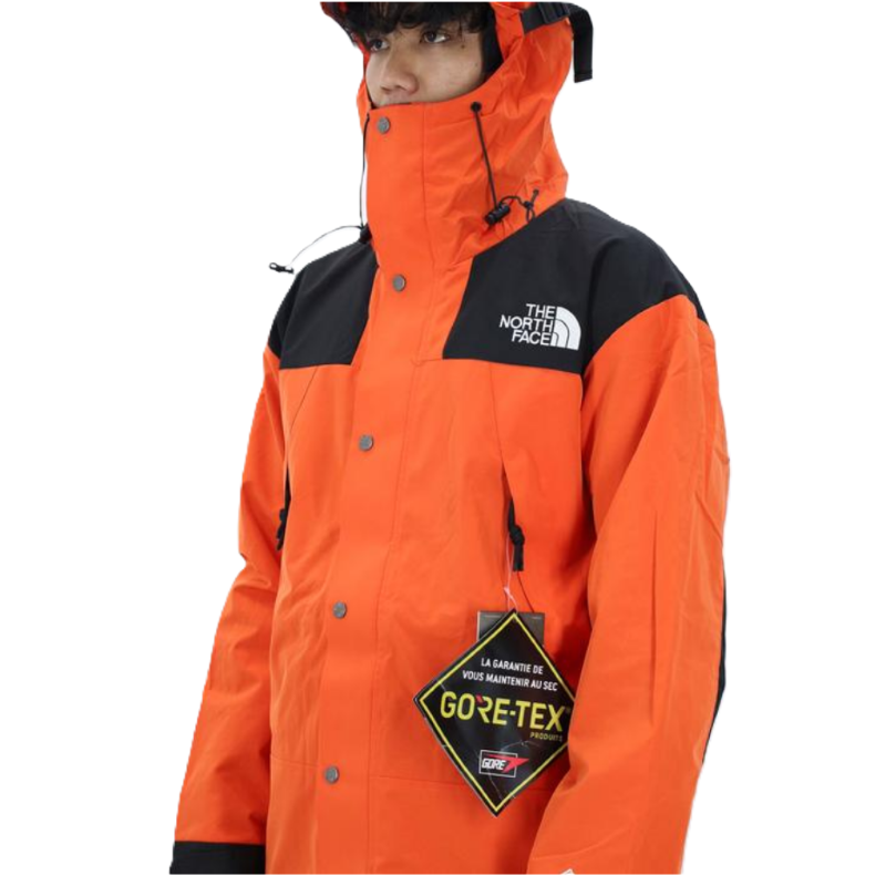 The North Face Mountain Jacket